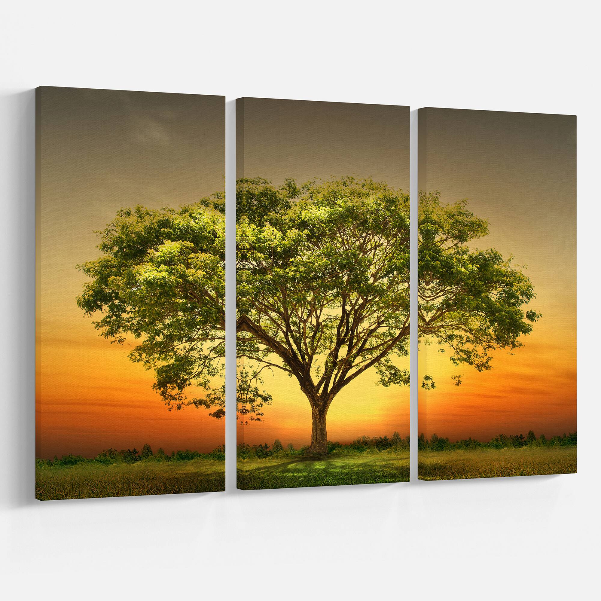 Designart - Green Tree against Setting Sun